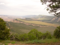 Colorado Section of Dinosaur